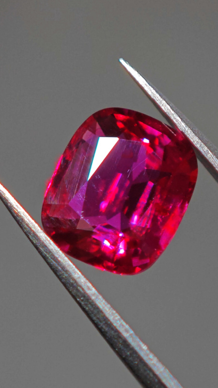 INTERNATIONAL PAVILION